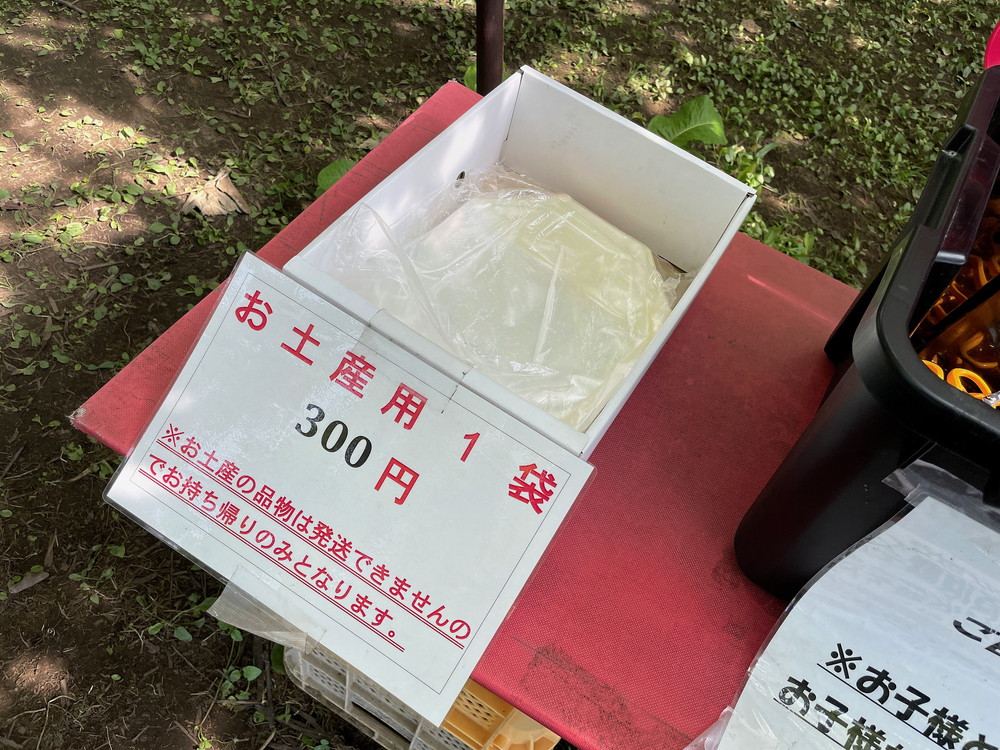 王将果樹園-ぶどう狩り-ぶどう畑受付4