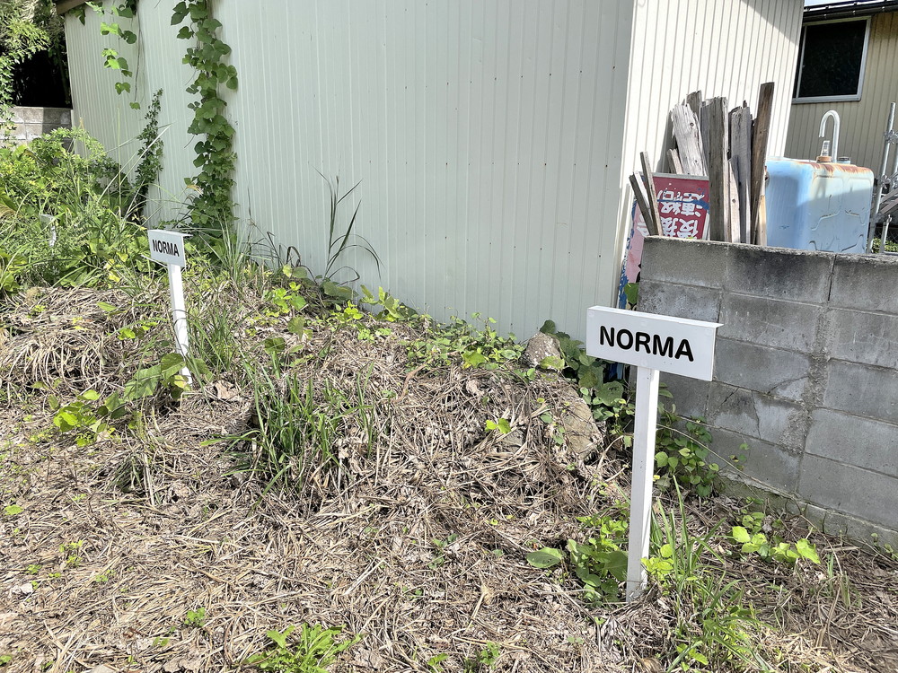 NORMA-駐車場①