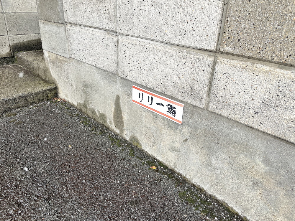 リリー鮨-駐車場②