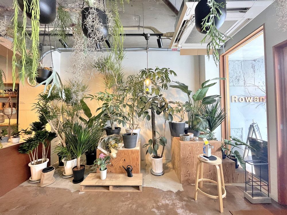 Rowan-店内④