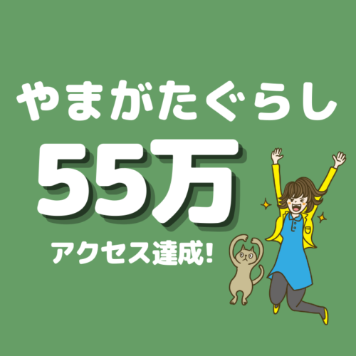 55万回