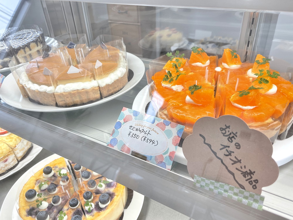 ciel-ショーケース④