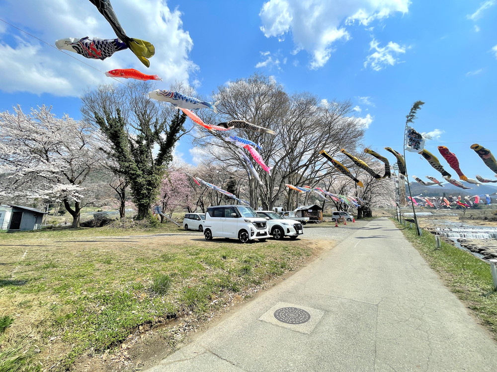 高瀬川こいのぼり-駐車場