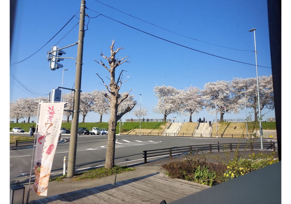 花鳥風月ー内観１６