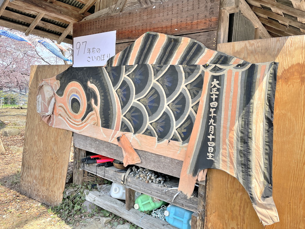 高瀬川こいのぼり-こいのぼり展示