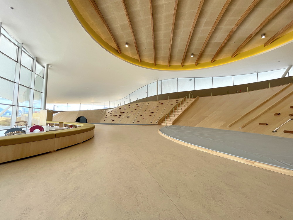 コパル-おおがたゆうぎじょう2