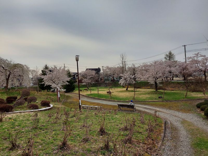 最上公園ーベンチ３