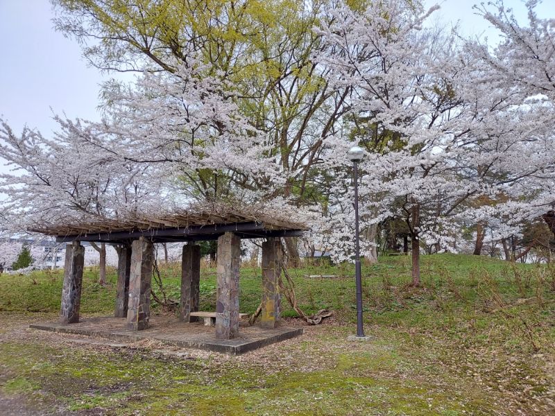 最上公園ーベンチ４