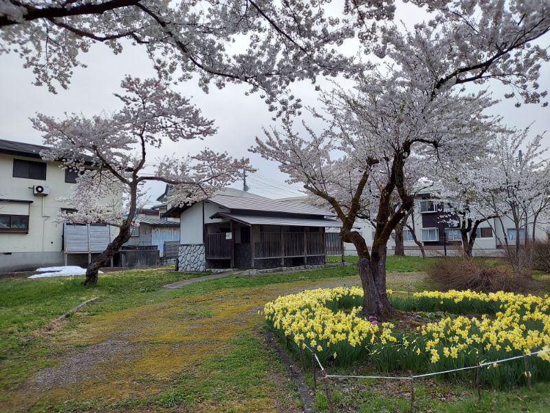 最上公園ートイレ２