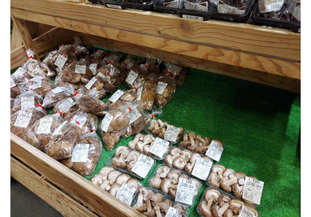 まゆの郷ー特産品１８