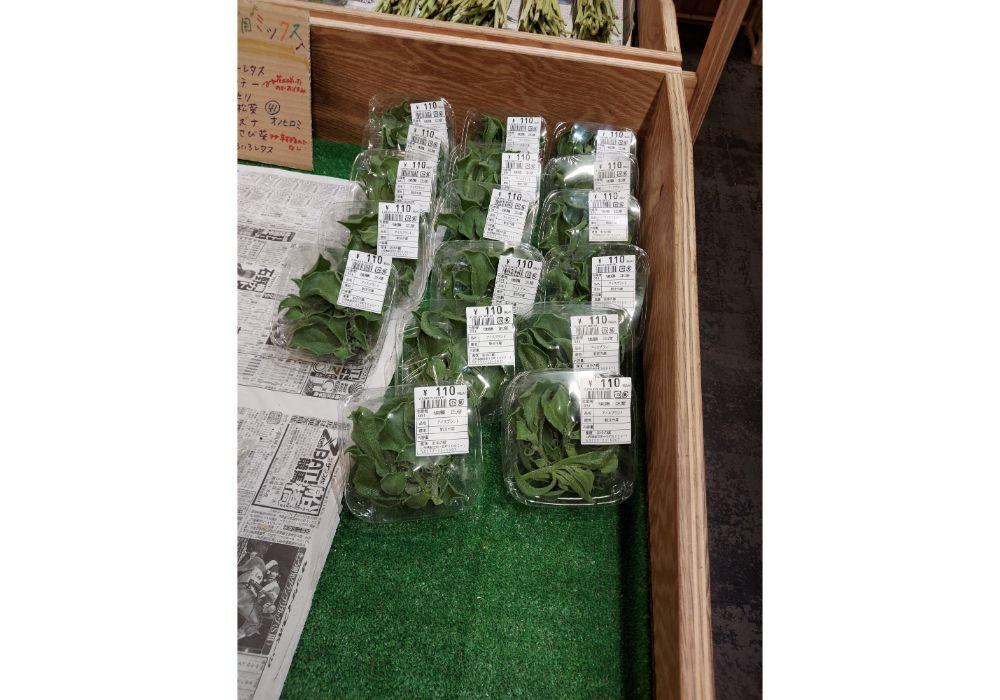 まゆの郷ー特産品１９