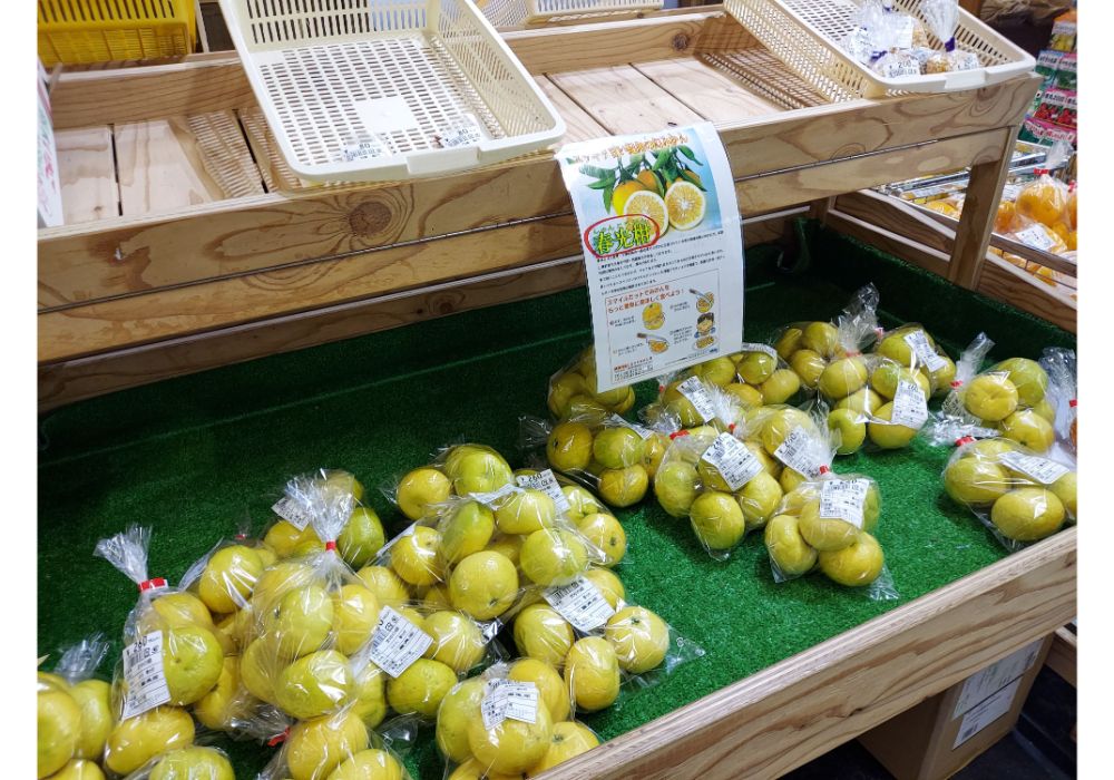 まゆの郷ー特産品２１