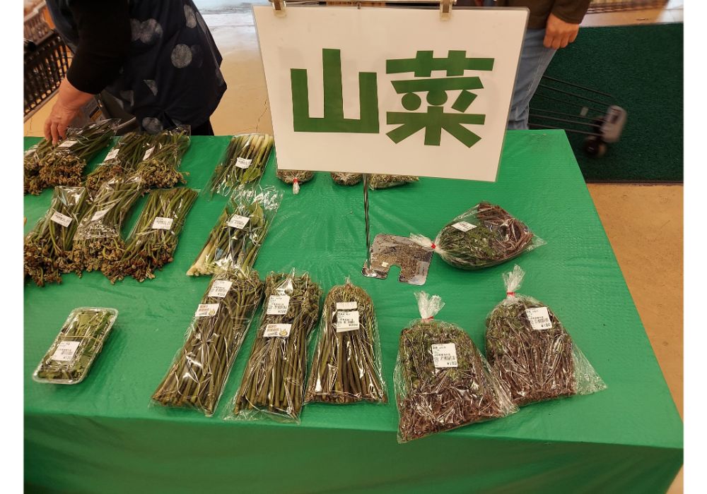 よってけポポラー特産品5