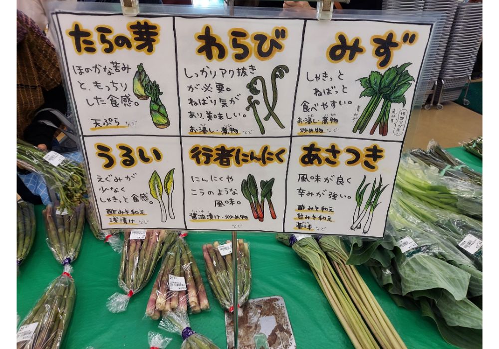 よってけポポラー特産品6