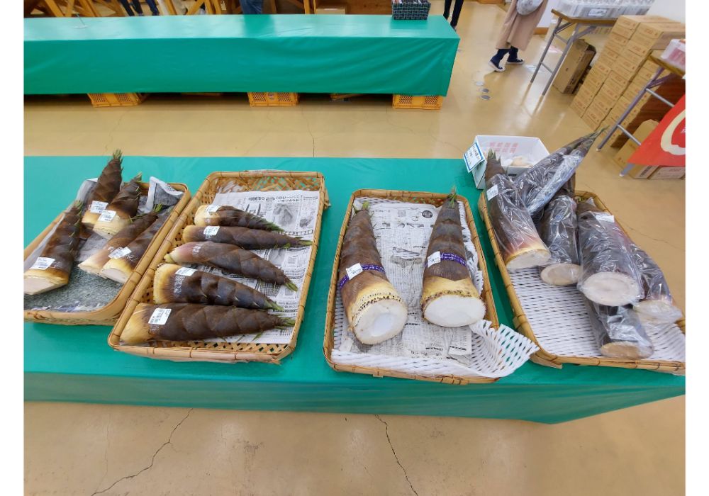 よってけポポラー特産品9