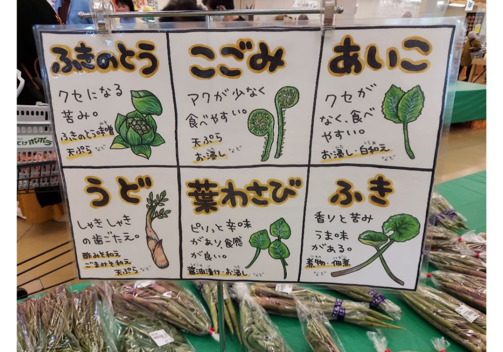 よってけポポラー特産品7