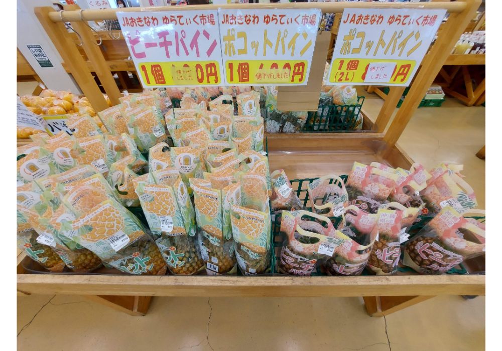 よってけポポラー特産品17