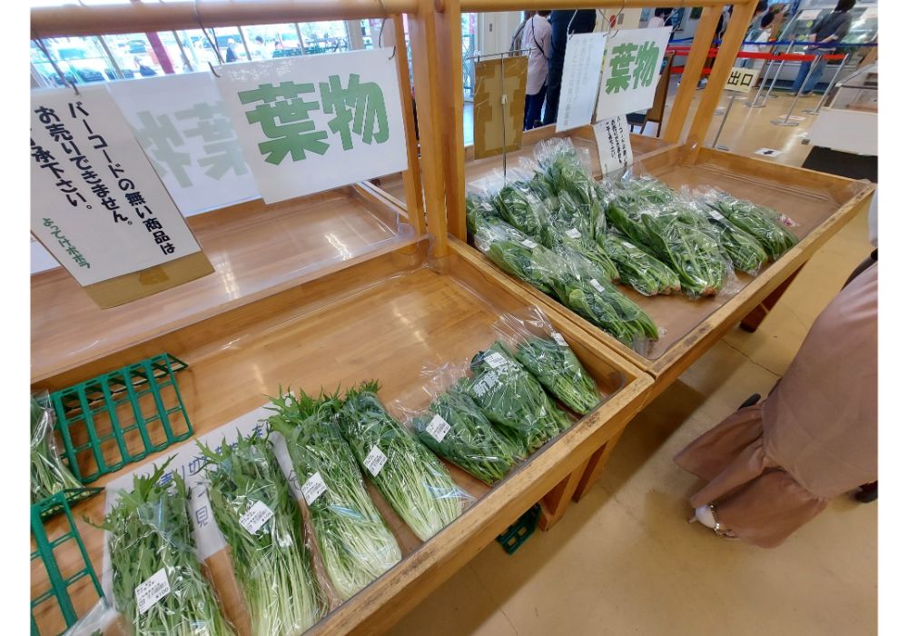 よってけポポラー特産品26