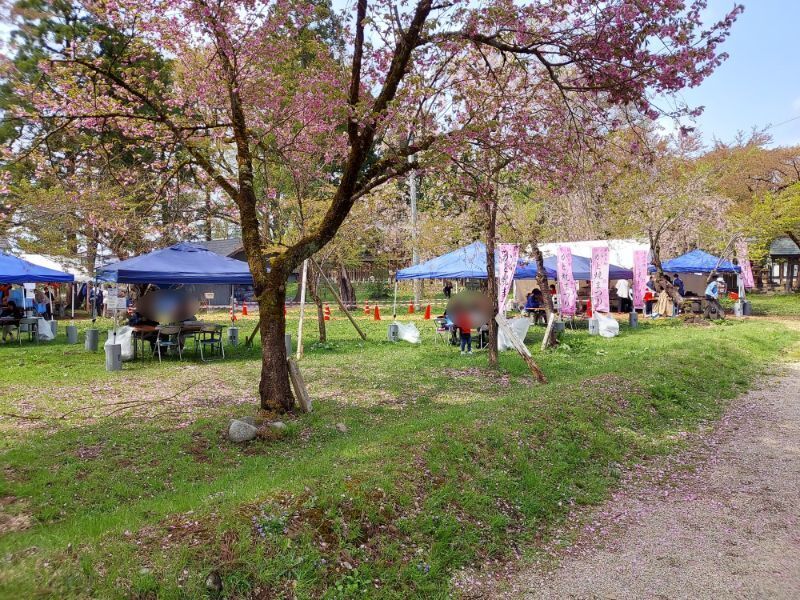 最上公園ーカド焼きまつり８