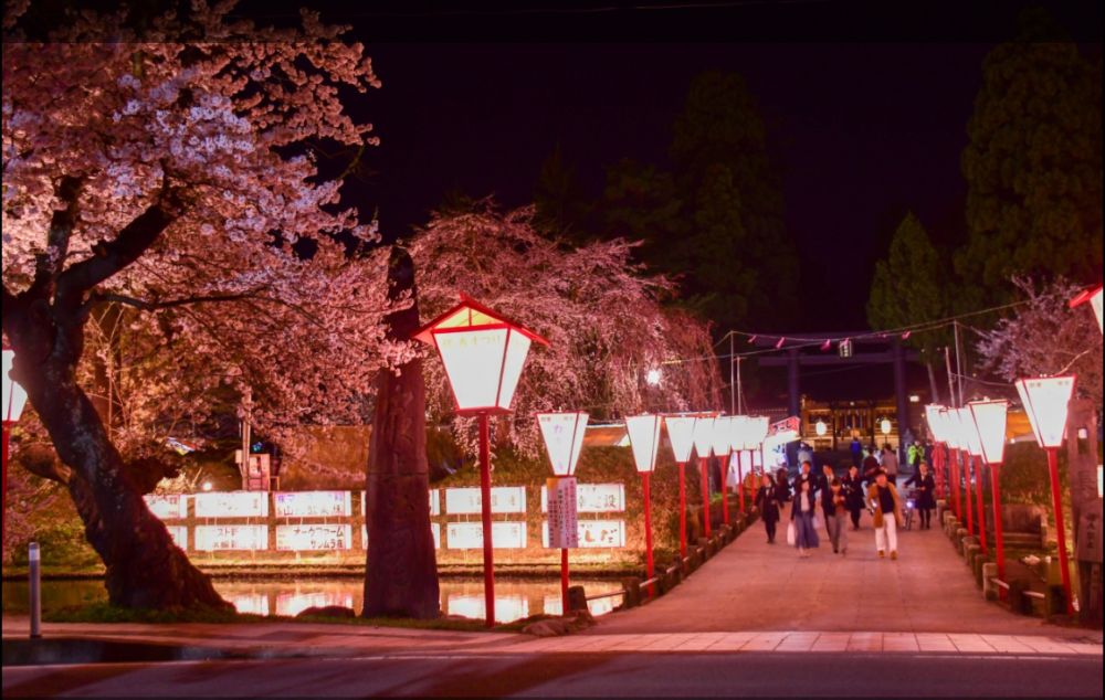 最上公園ーライトアップ