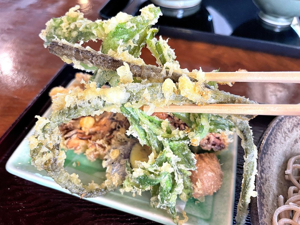 そば処ヤマモ-食レポ13