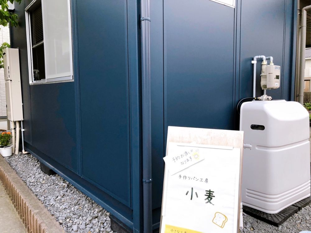小麦-外観1