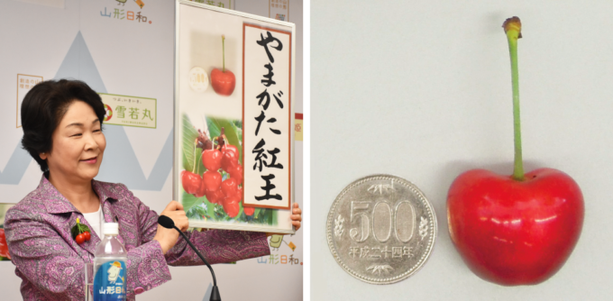 img01-1-680x334.png