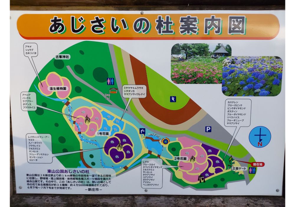 あじさいの杜ー案内図