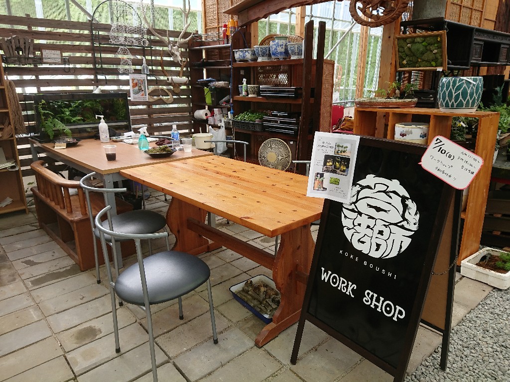 Hutte&MossGarden　苔専門店２_copy_1024x768