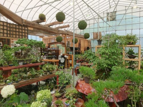 Hutte&MossGarden 苔専門店7_copy_1024x768