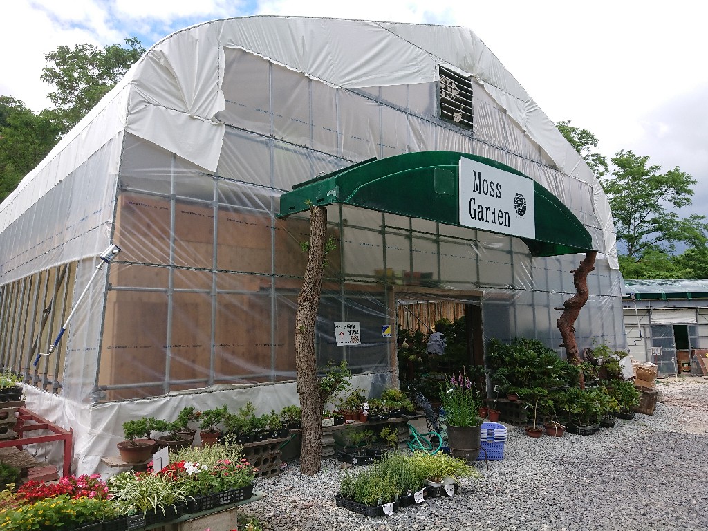 Hutte&MossGarden　苔専門店_copy_1024x768