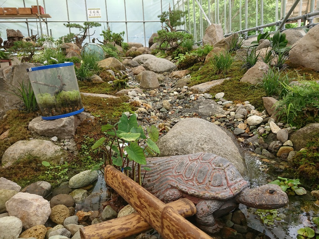 Hutte&MossGarden　苔専門店6_copy_1024x768