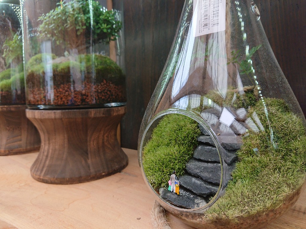 Hutte&MossGarden　苔専門店４_copy_1024x768