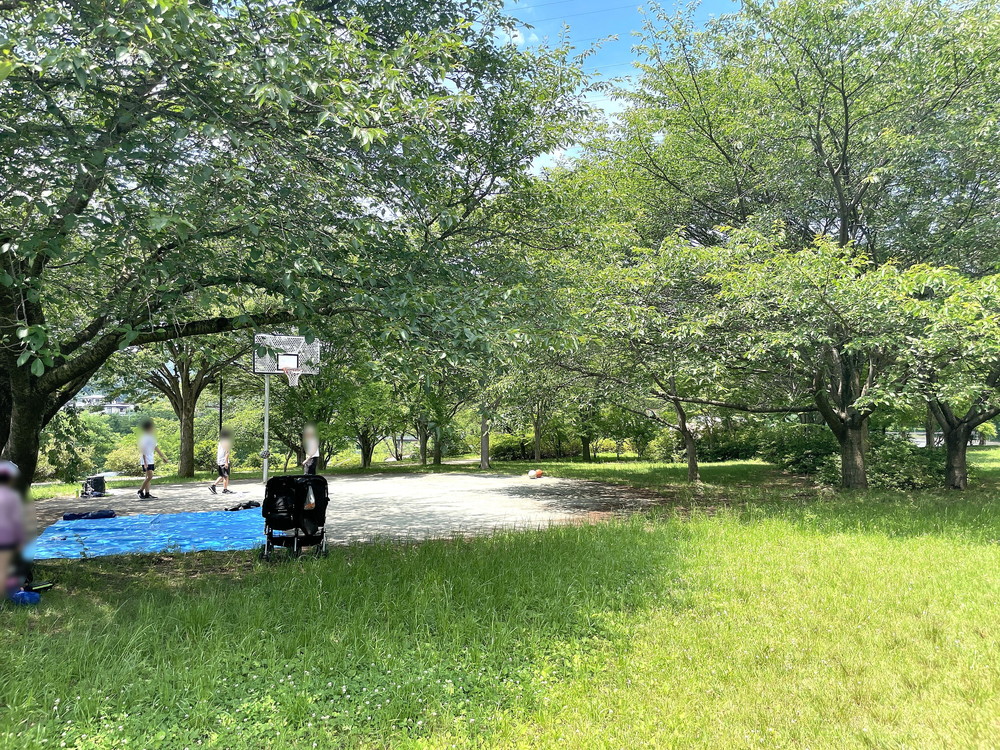 馬見ヶ崎川-釈迦堂河畔広場-公園2