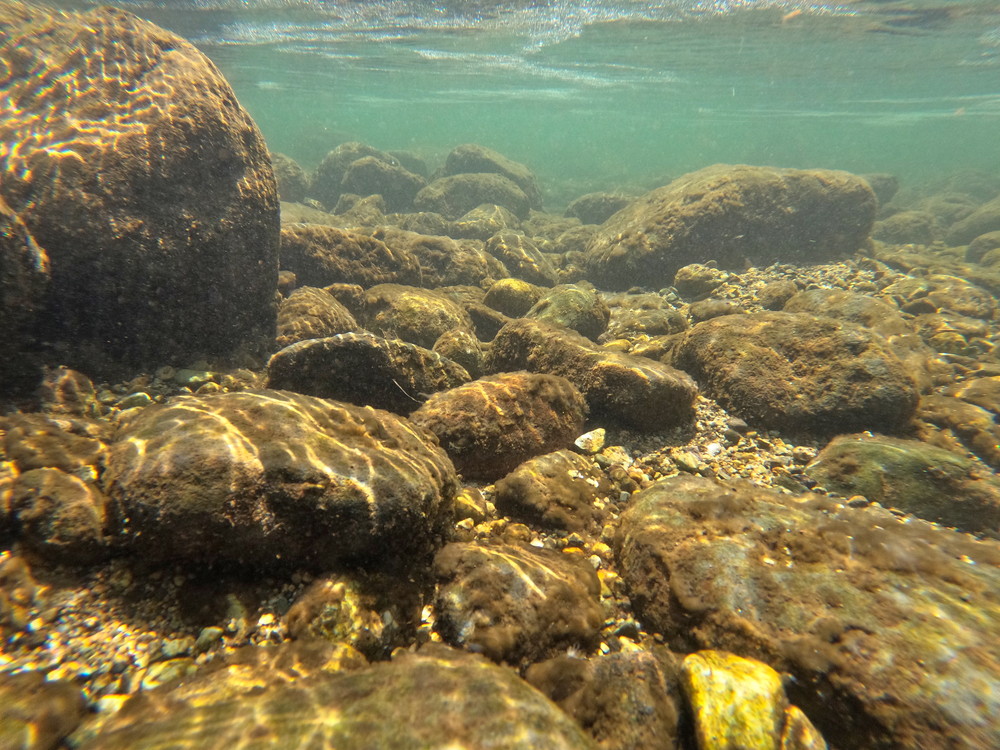 馬見ヶ崎川-釈迦堂河畔広場-水遊び7