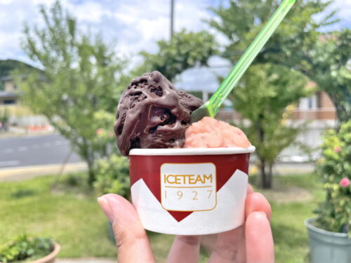 小松原ジェラート-購入品