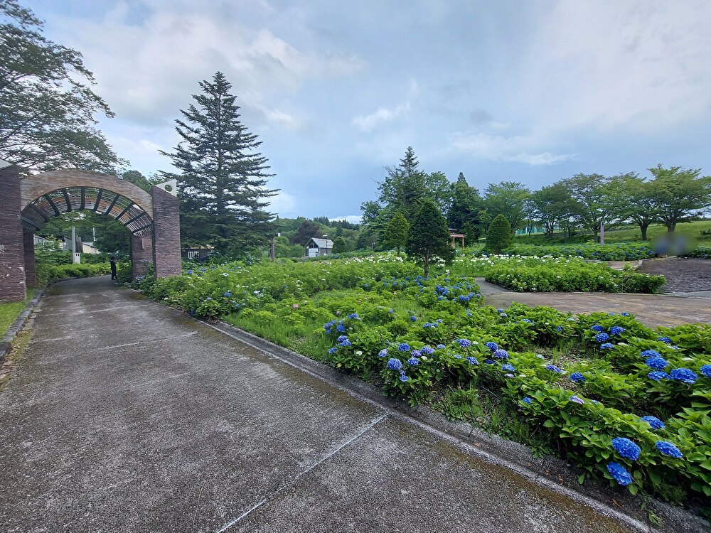 あじさいの杜ー散策２