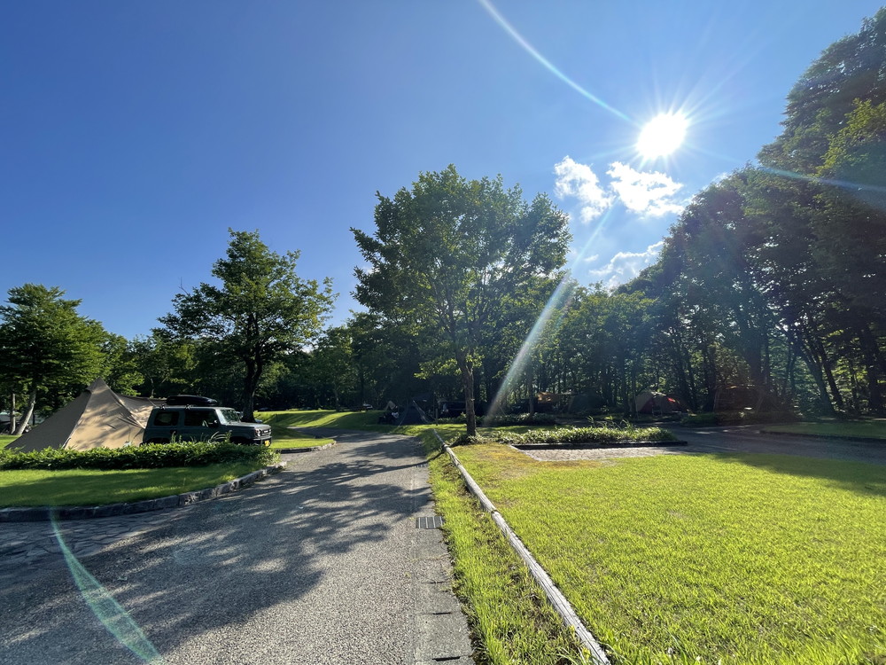 弓張平オートキャンプ場-ナラバヤシサイト3