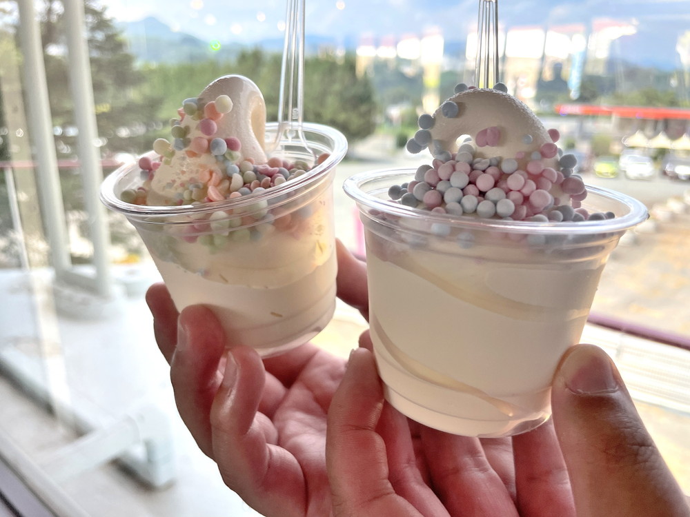 リナビーチ-レポ12