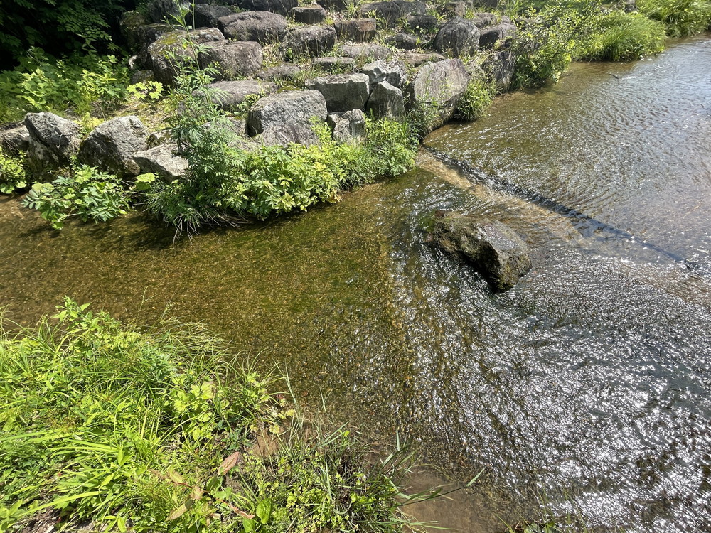 弓張平オートキャンプ場-水遊び2