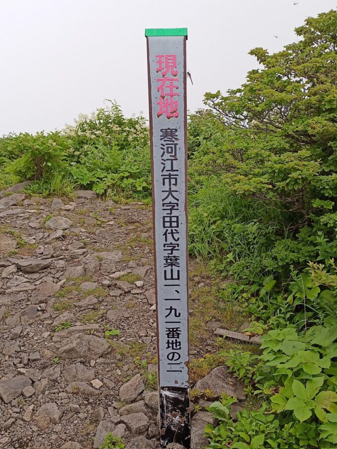 山形登山レポ】葉山の夏山登山（寒河江市）｜寒河江市の最高峰「葉山