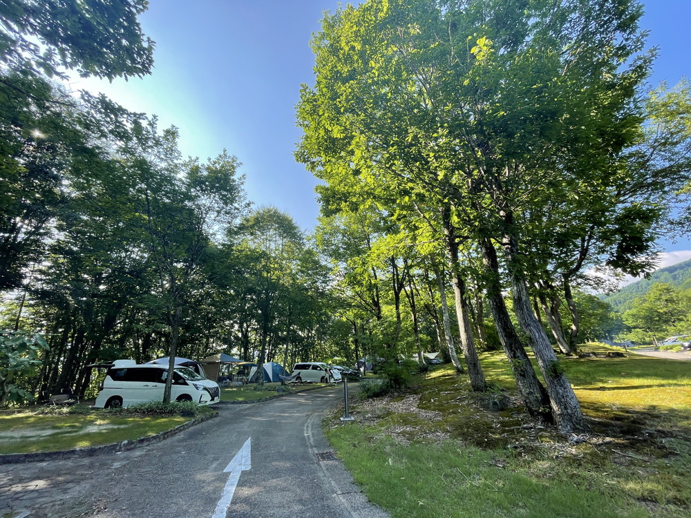 弓張平オートキャンプ場-ナラバヤシサイト2