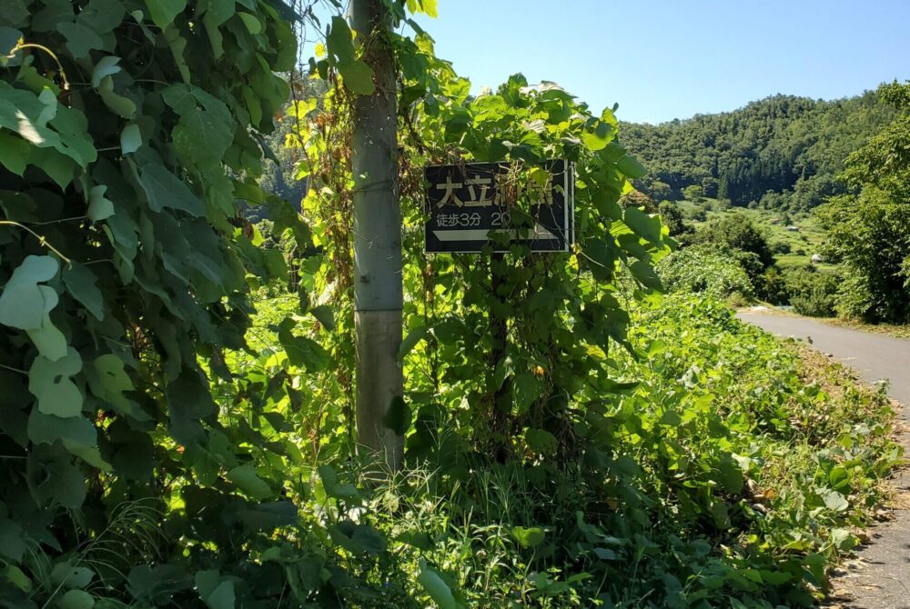 大立洞窟ー看板2