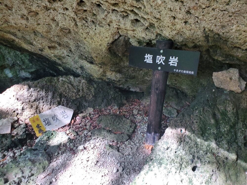 観音岩ー塩吹岩