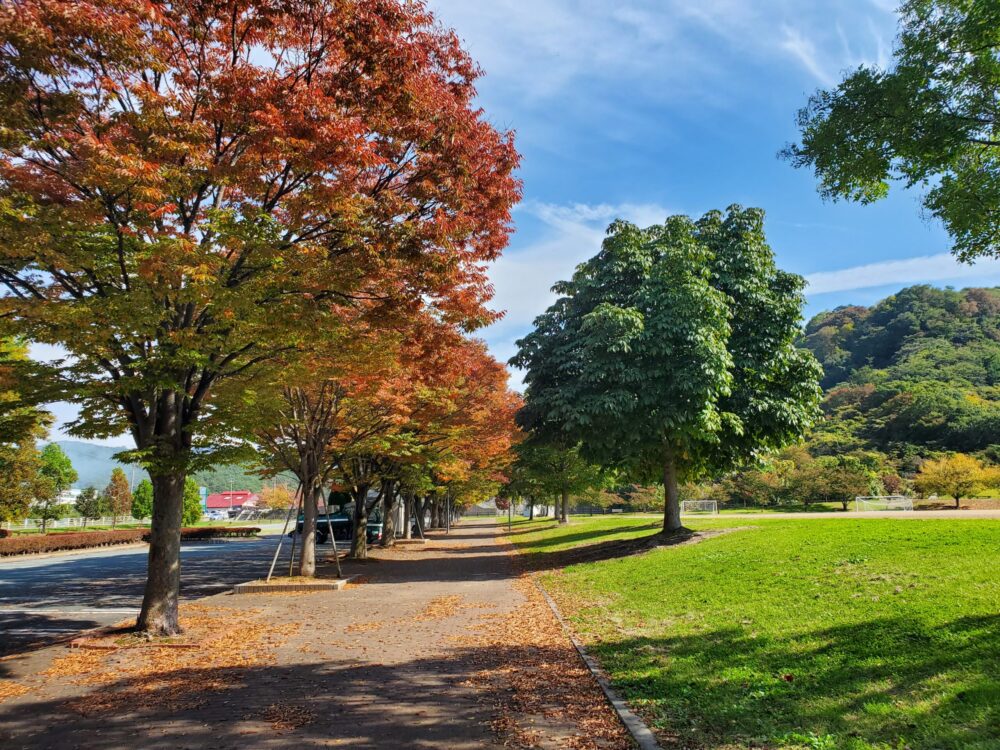 大森山公園ー通路