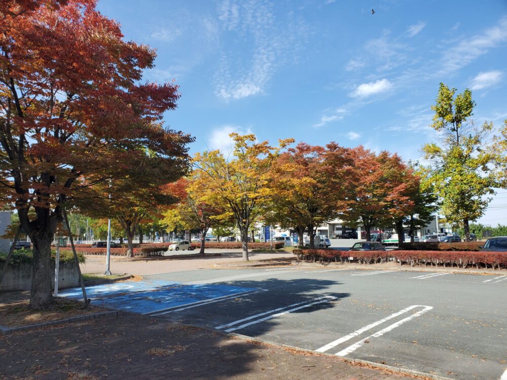 大森山公園ー通路