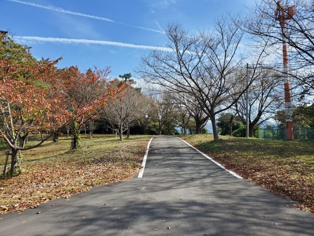 大森山展望台ー道中