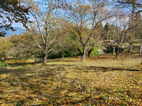 大森山公園