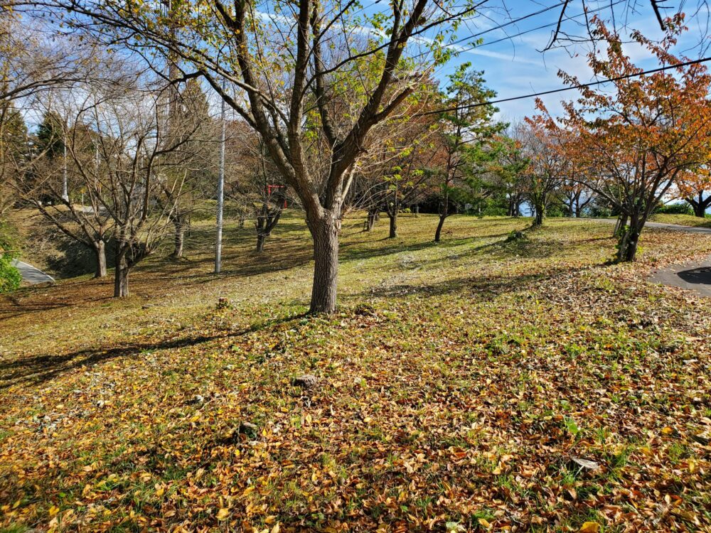 大森山展望台ー山頂