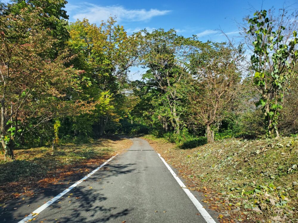 大森山展望台ー道中